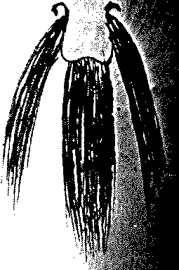 9000300018-01.png