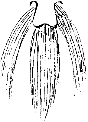 9000300018-02.png