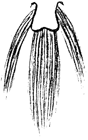 9000300018-03.png
