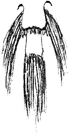 9000300018-04.png