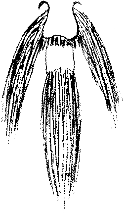 9000300018-05.png