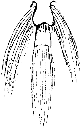 9000300018-06.png