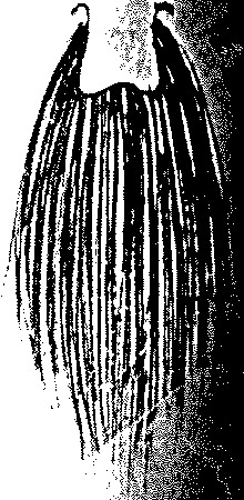 9000300018-07.png