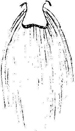 9000300018-08.png
