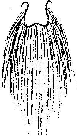 9000300018-09.png