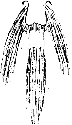 9000300018-10.png