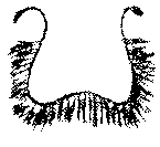 9000300018-11.png