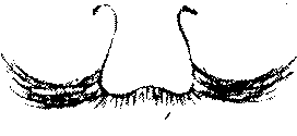 9000300018-12.png