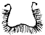 9000300018-13.png