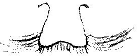 9000300018-14.png