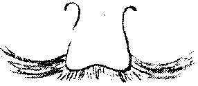 9000300018-15.png