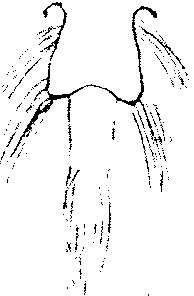 9000300018-16.png