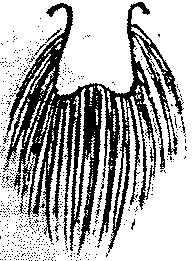 9000300018-17.png