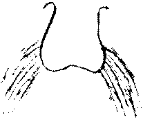 9000300018-18.png