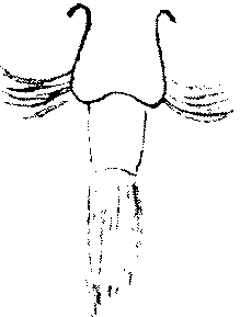 9000300018-19.png