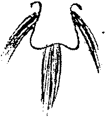 9000300018-21.png