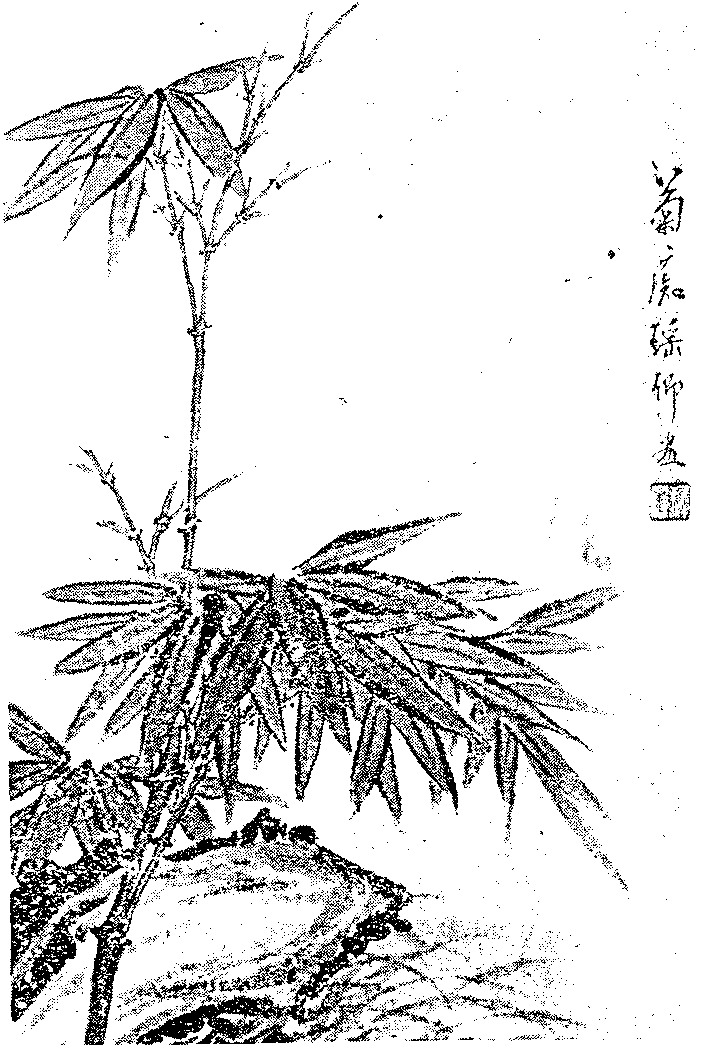 9000300022-01.png