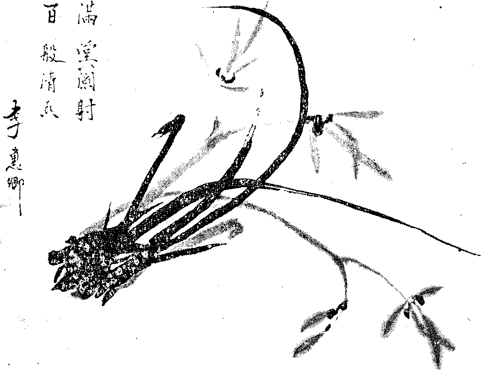 9000300029-02.png