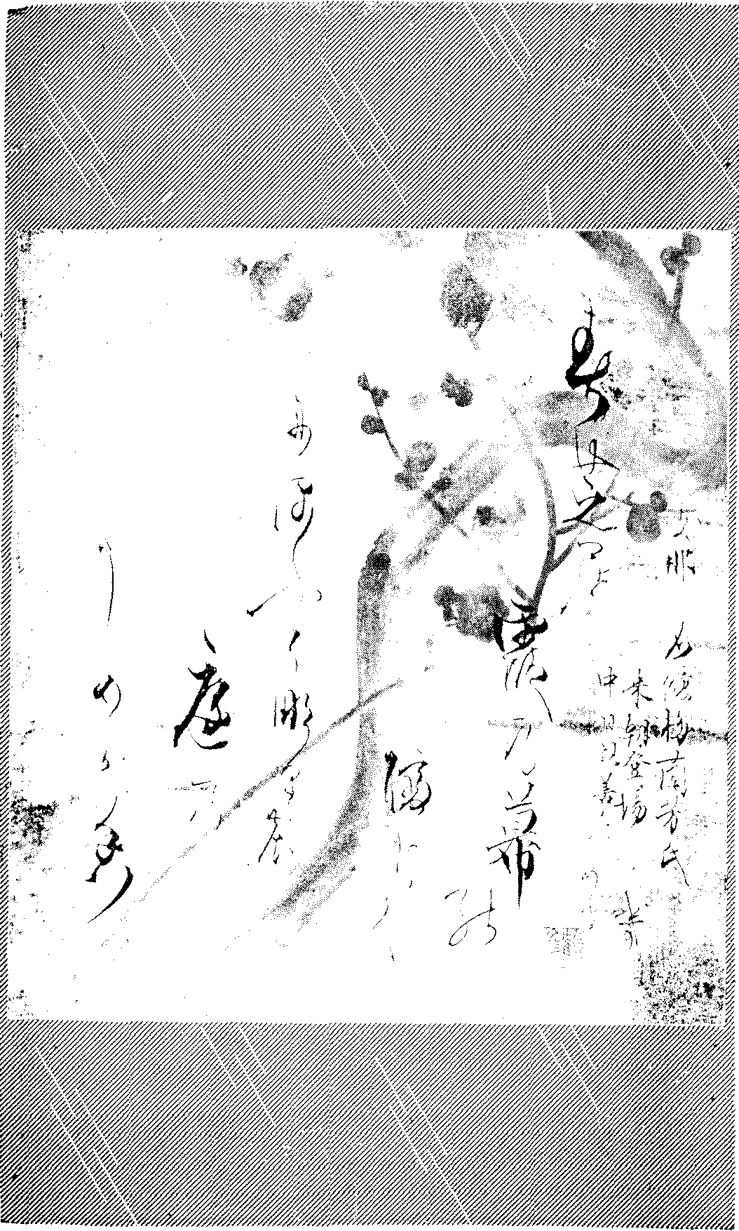 90001000008.png